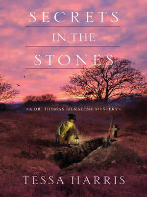 Secrets in the Stones - ebook
